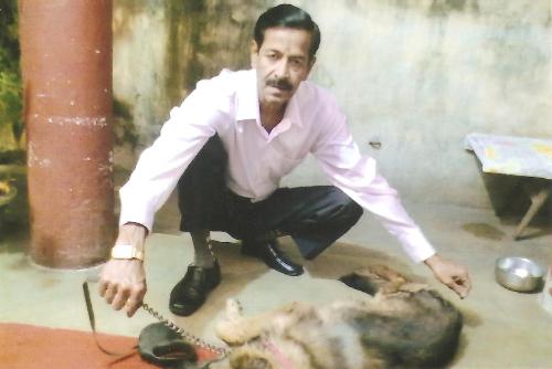 DOGS TRAINER IN PATNA