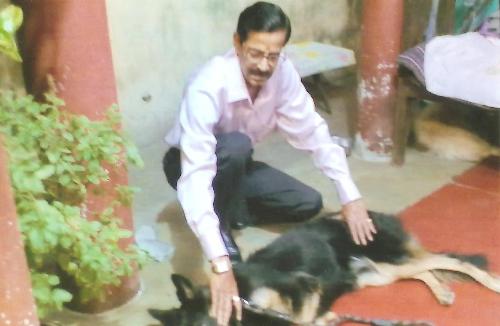 PETS TRAINER DOCTOR IN PATNA