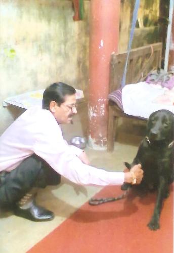 DOGS TRAINER CLINIC IN PATNA