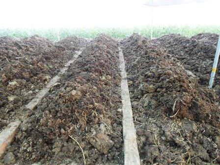 VERMICOMPOST IN BIHAR