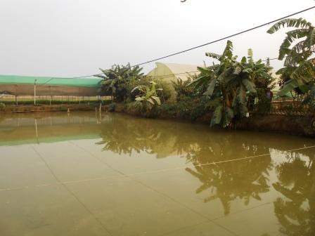 FISH PRODUCTION HOUSE IN PATNA