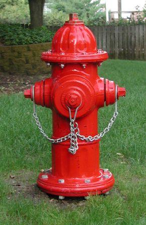 FIRE HYDRANT IN BIHAR