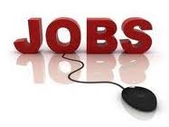 JOB CONSULTANT IN BHAGALPUR