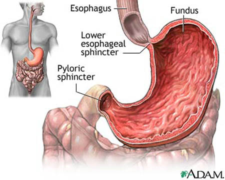 GASTRITIS TREATMENT IN PATNA