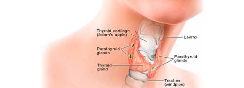 THYROID TREATMENT CENTRE IN BHAGALPUR