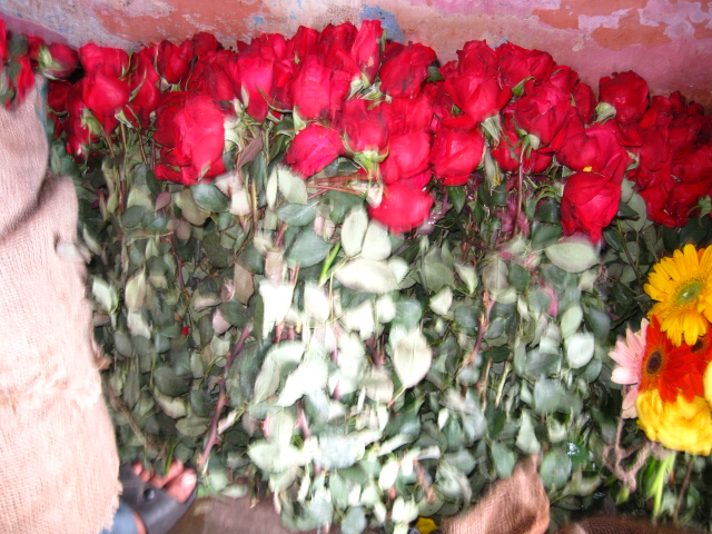 ROSE IN RANCHI BOQUET FLOWER 