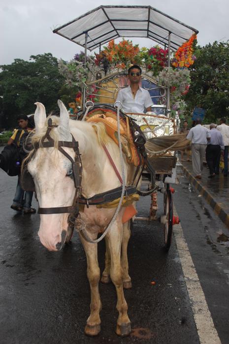 YOUTH POLITICIAN IN BIHAR