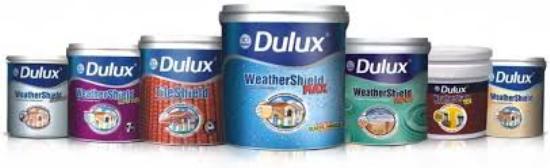 AUTHORISED DEALER OF DULUX PAINTS IN BEUR MORE, PATNA