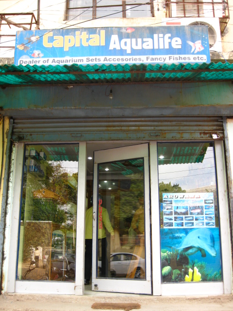 AQUARIUM IN RANCHI FISH