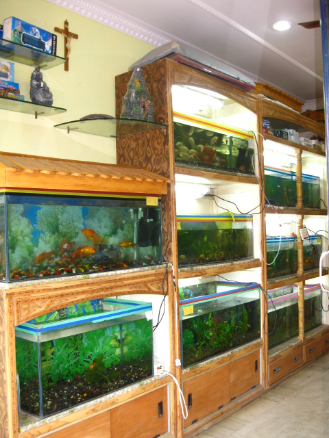 OFFICE AQUARIUM IN RANCHI