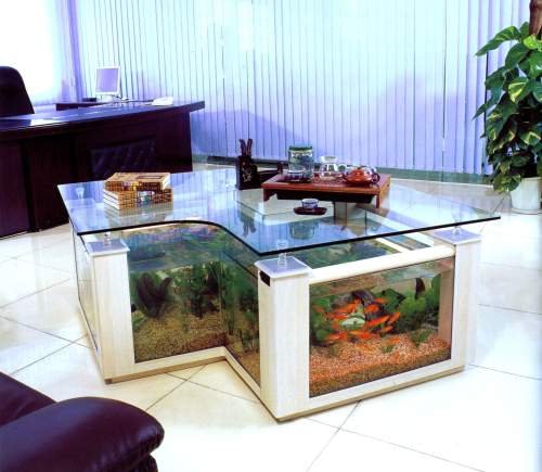 OFFICE AQUARIUM FISH FOOD RANCHI