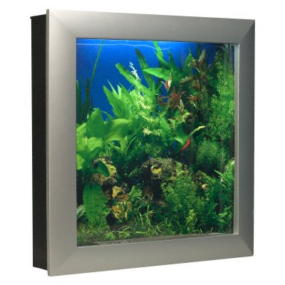 PLANT IN AQUARIUM SALE IN RANCHI