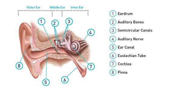 speech and hearing therapy near samastipur