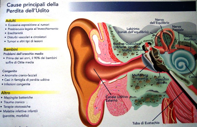 SPEECH AND HEARING THERAPY NEAR MADHUBANI