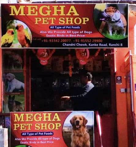 megha pet shop in ranchi