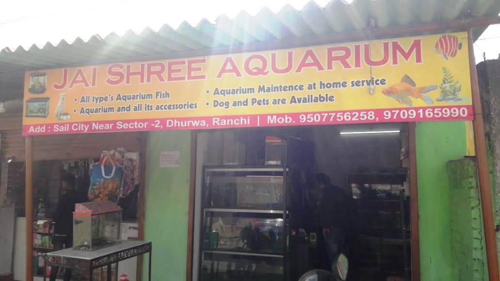 Aquarium house near tupudana hatia