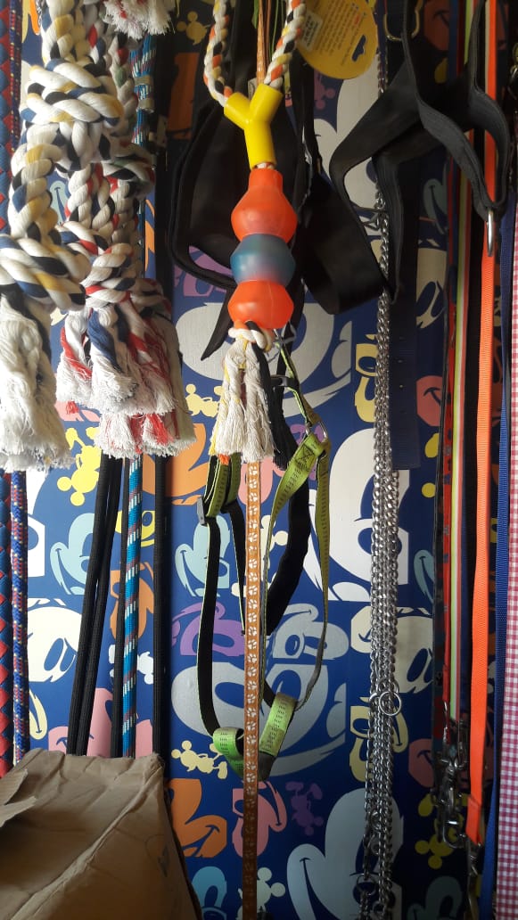 all type dog accessories supplier in ranchi