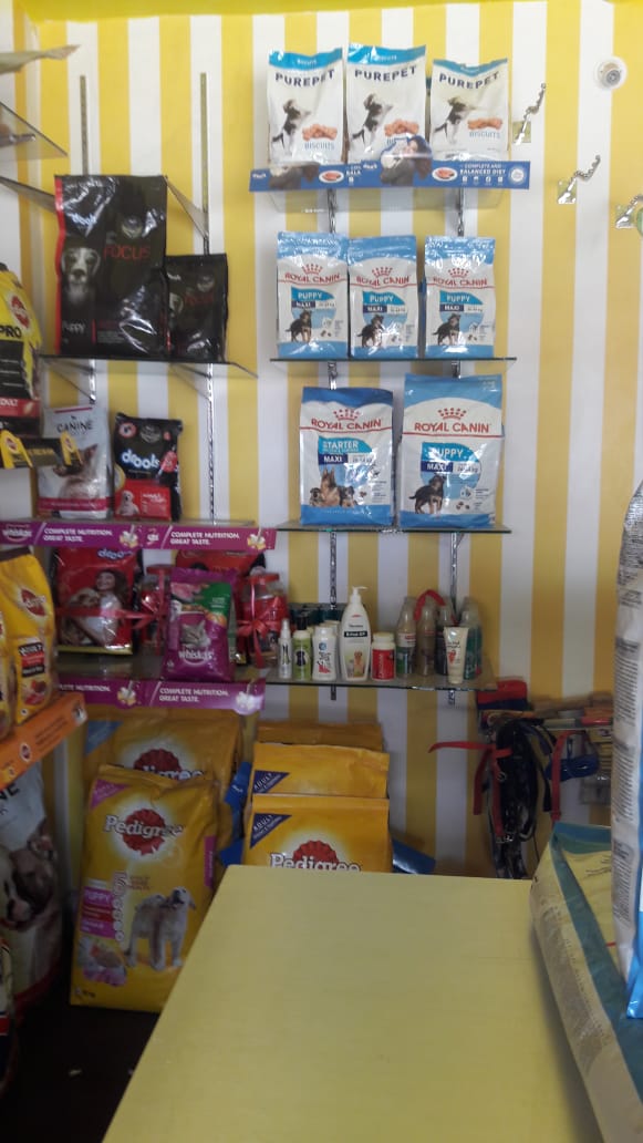 all type dog accessories near sail city in ranchi