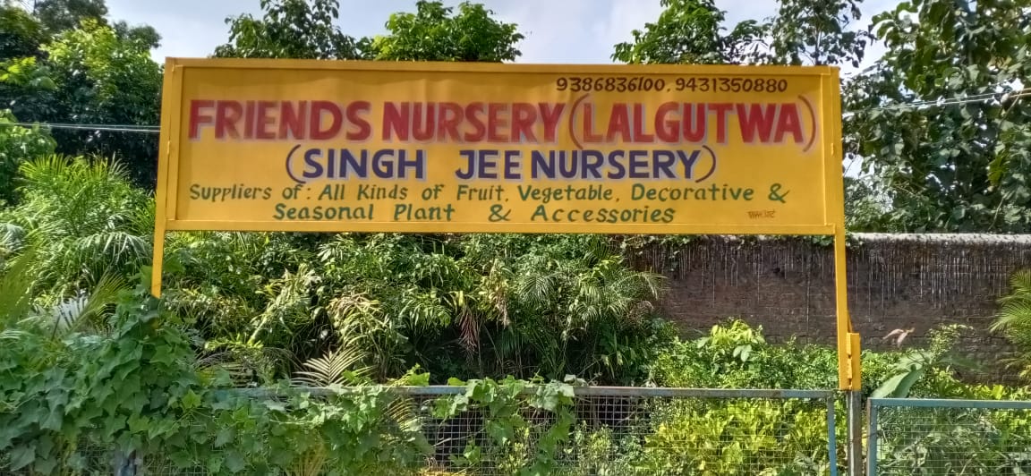 decorative plant in daladali chowk in ranchi 