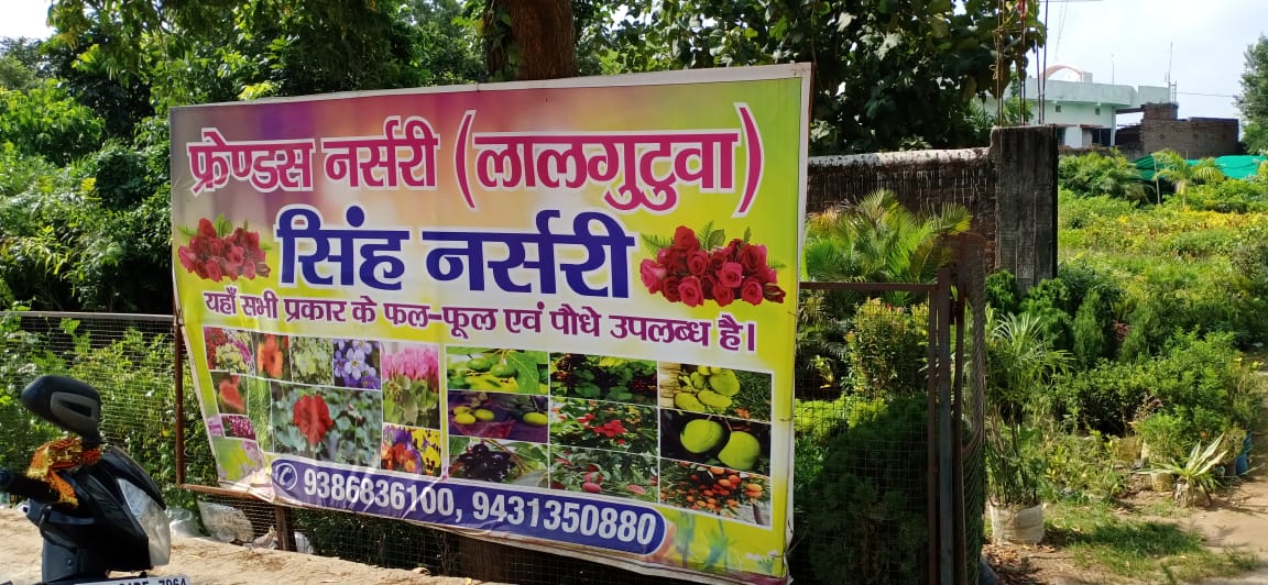 nursery in lalgutwa ranchi 