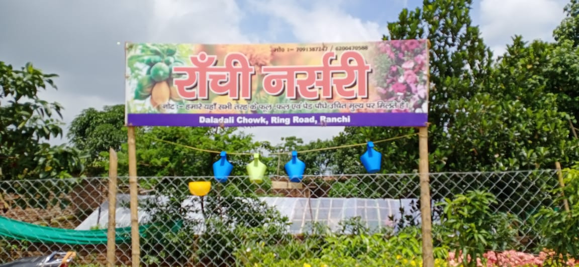 RANCHI NURSERY in Ranchi