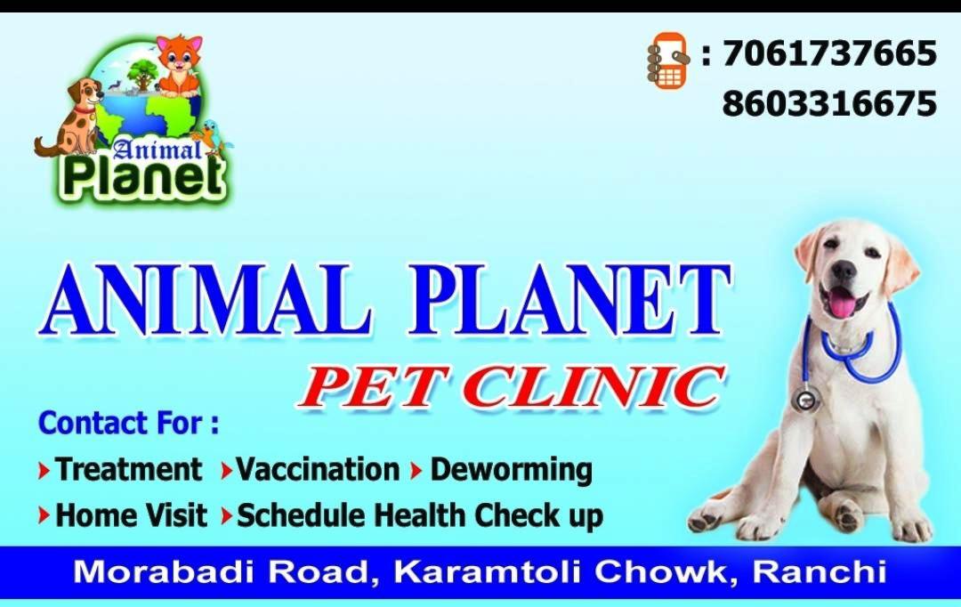 PET DOCTOR KARAMTOLI CHOWK IN RANCHI 