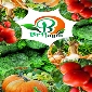 ONLINE VEGETABLES DELIVERY PATNA