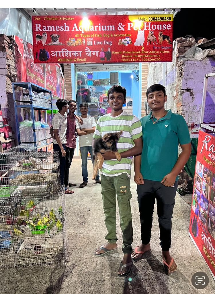 PET HOUSE IN HAZARIBAGH