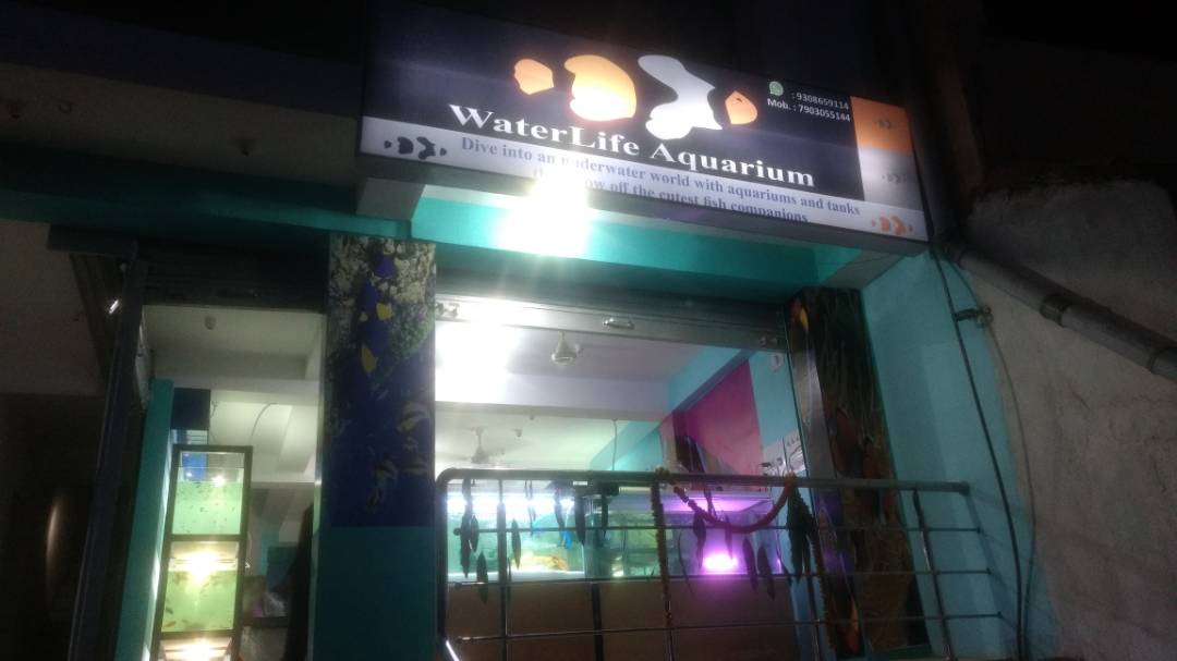 LIFE CARE AQUARIUM IN RANCHI