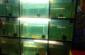 BEST AQUARIUM HOUSE IN RANCHI