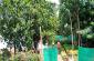  PLANT NURSERY IN DALIDALI CHOWK IN RANCHI