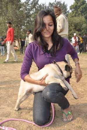 IMPORTED DOG SELLER IN PATNA