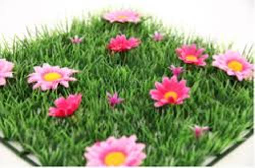 GRASSMAT SHOP IN PATNA