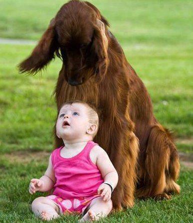 PET SUPPLIER IN PATNA