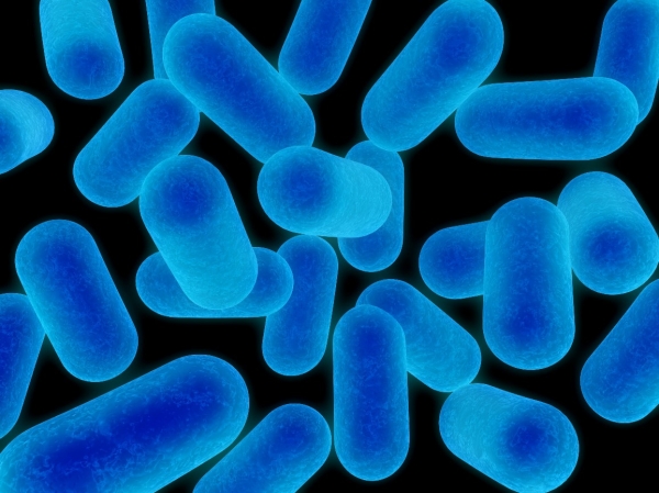 BIOLOGY CLASSES IN BHAGALPUR