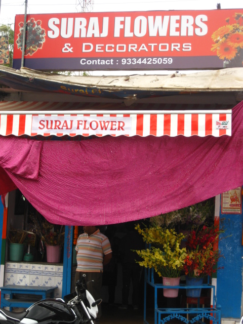 FLOWER IN JHARKHAND FLOWER