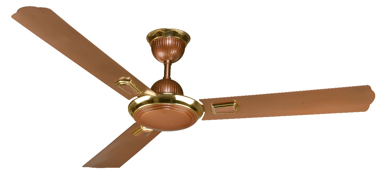 Ceiling fans