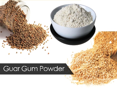 GUAR GUM POWDER IN PATNA