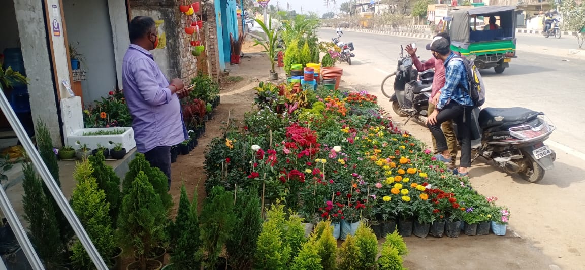 SHREE KRISHNA NURSERY RANCHI