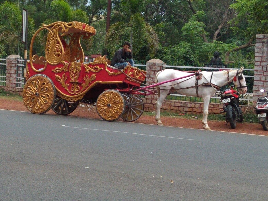 Ghodi baggi in Lake Road Ranchi 