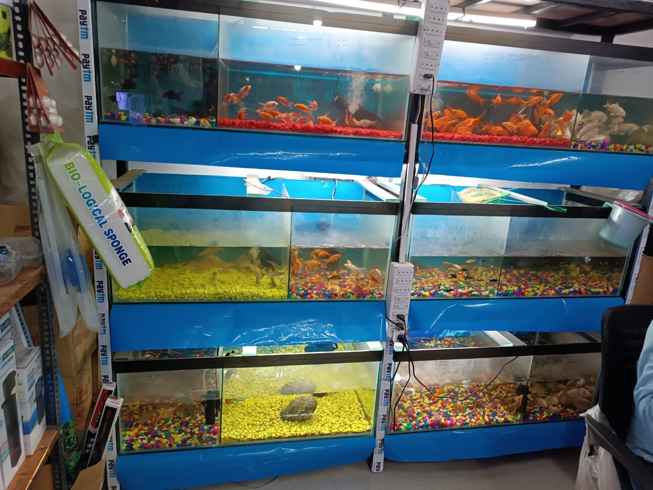 Best aquarium near ring road in Ranchi