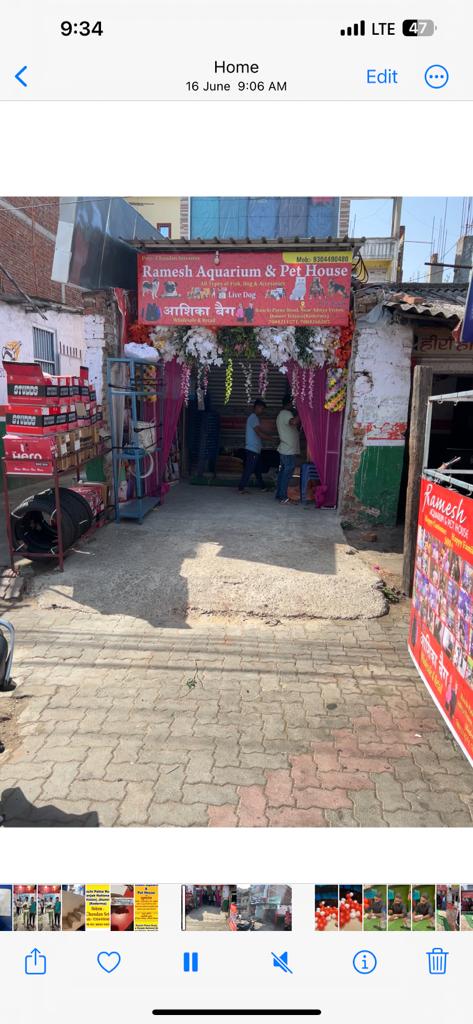 Aquarium shop near Barkattha