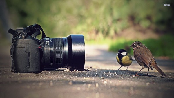 Abhishek studio in ranchi