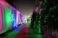 TENT AND DECORATION IN KATHAL MORE IN RANCHI 8825168316